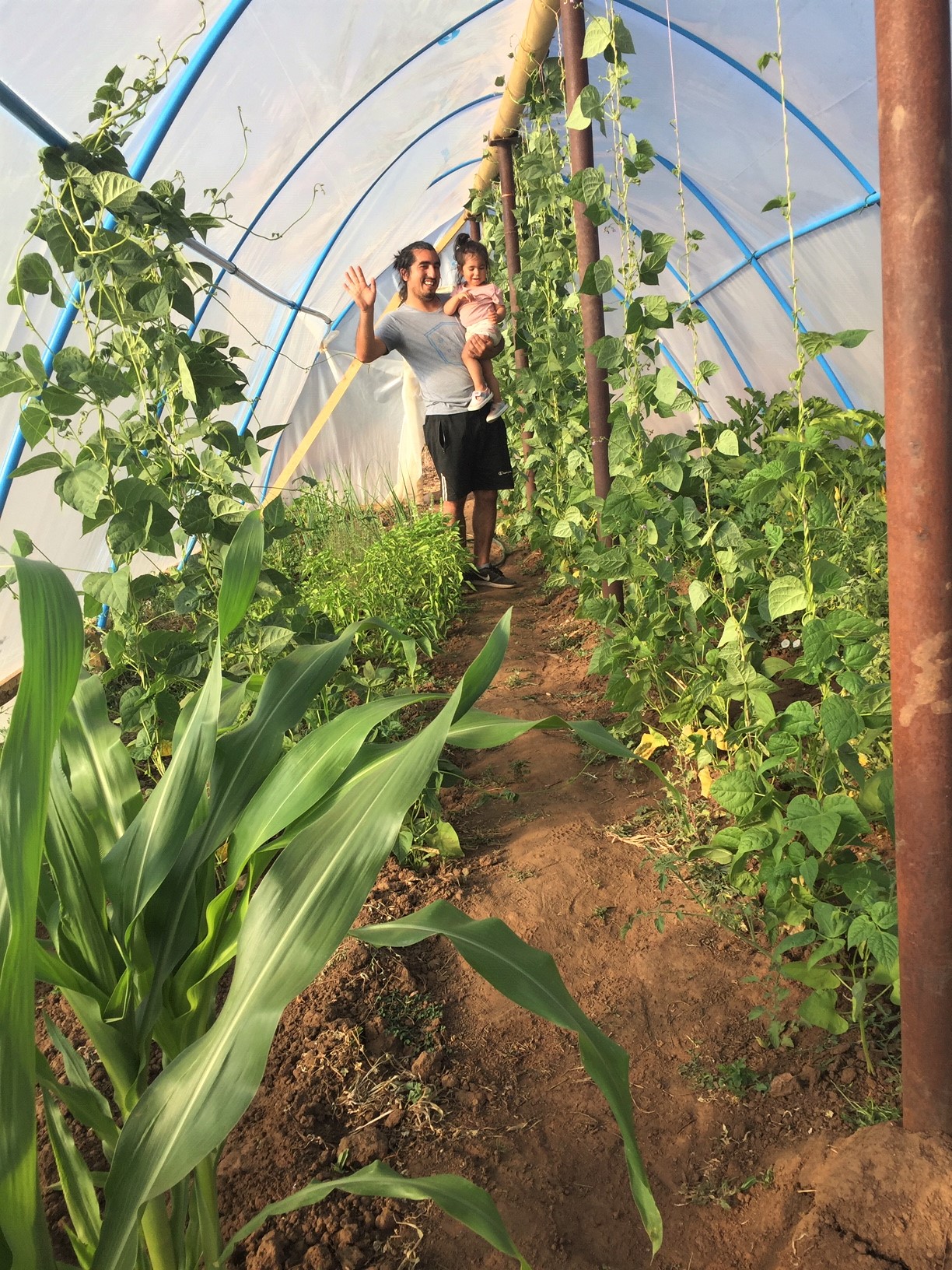 the greenhouse works