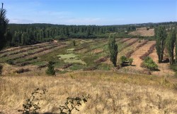 overview of lake area