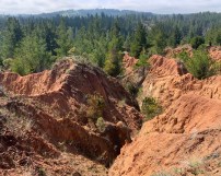 Campo Vivo north end 2