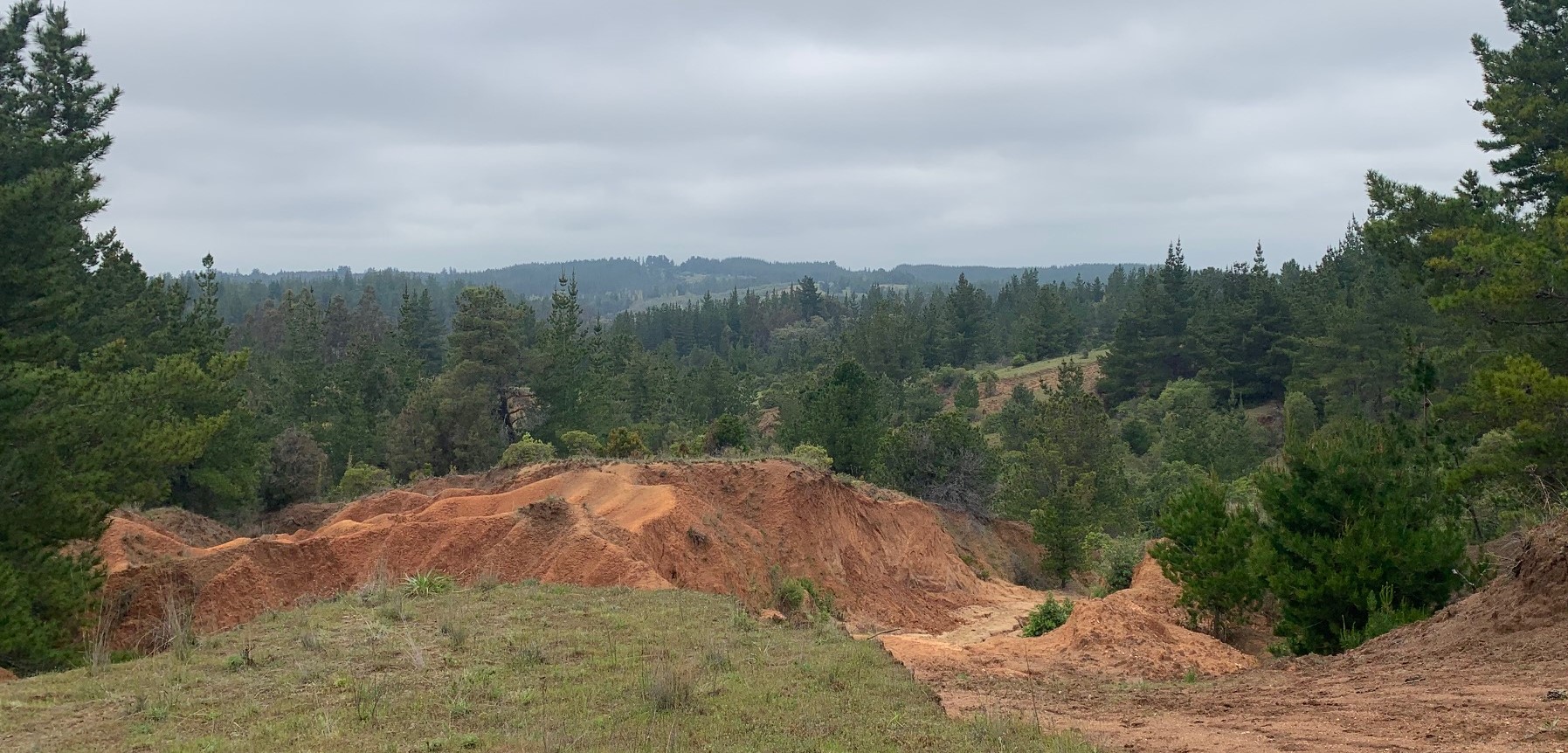 Campo Vivo north end 3