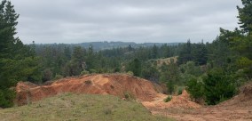 Campo Vivo north end 3